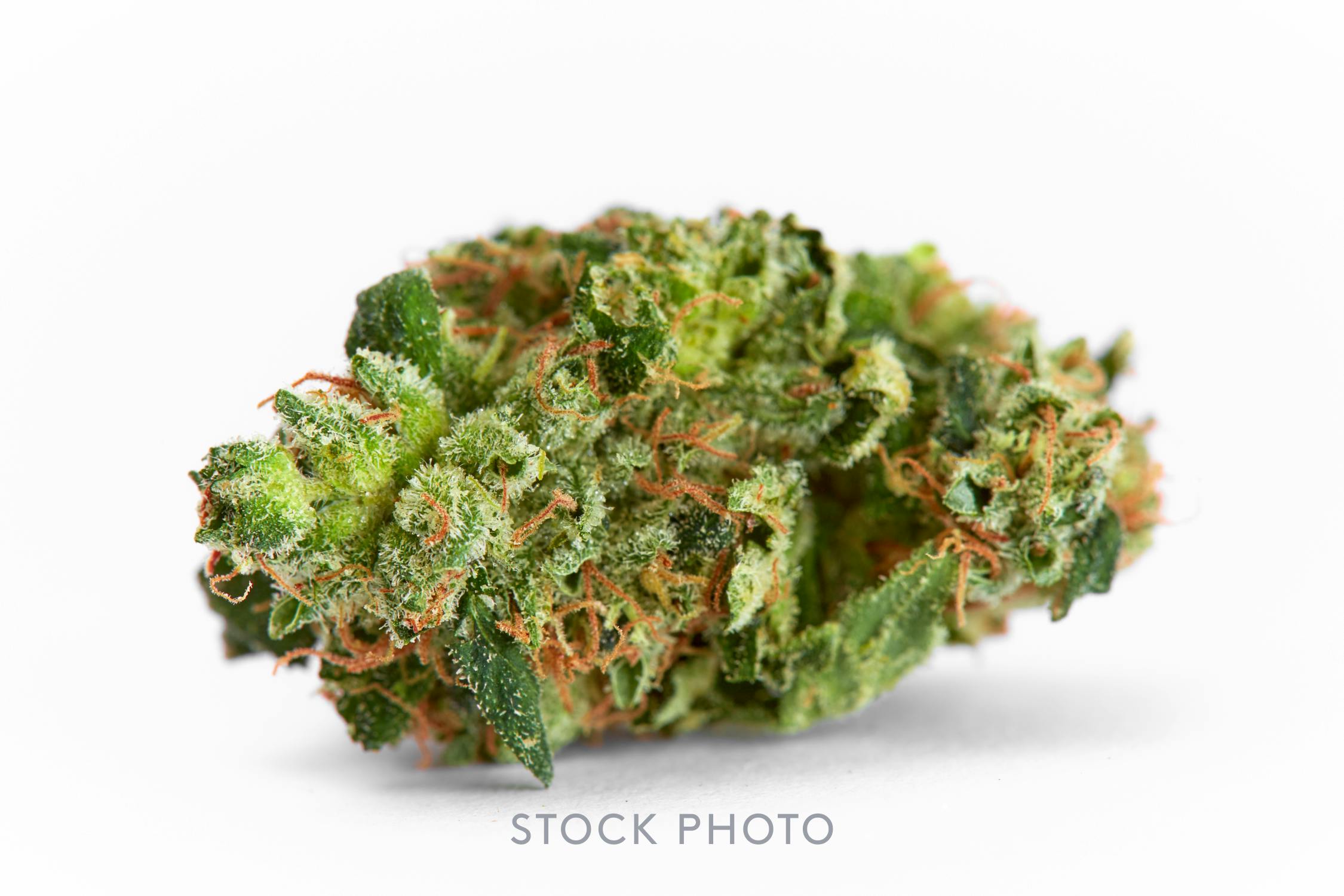 Alien Cookies | Jar