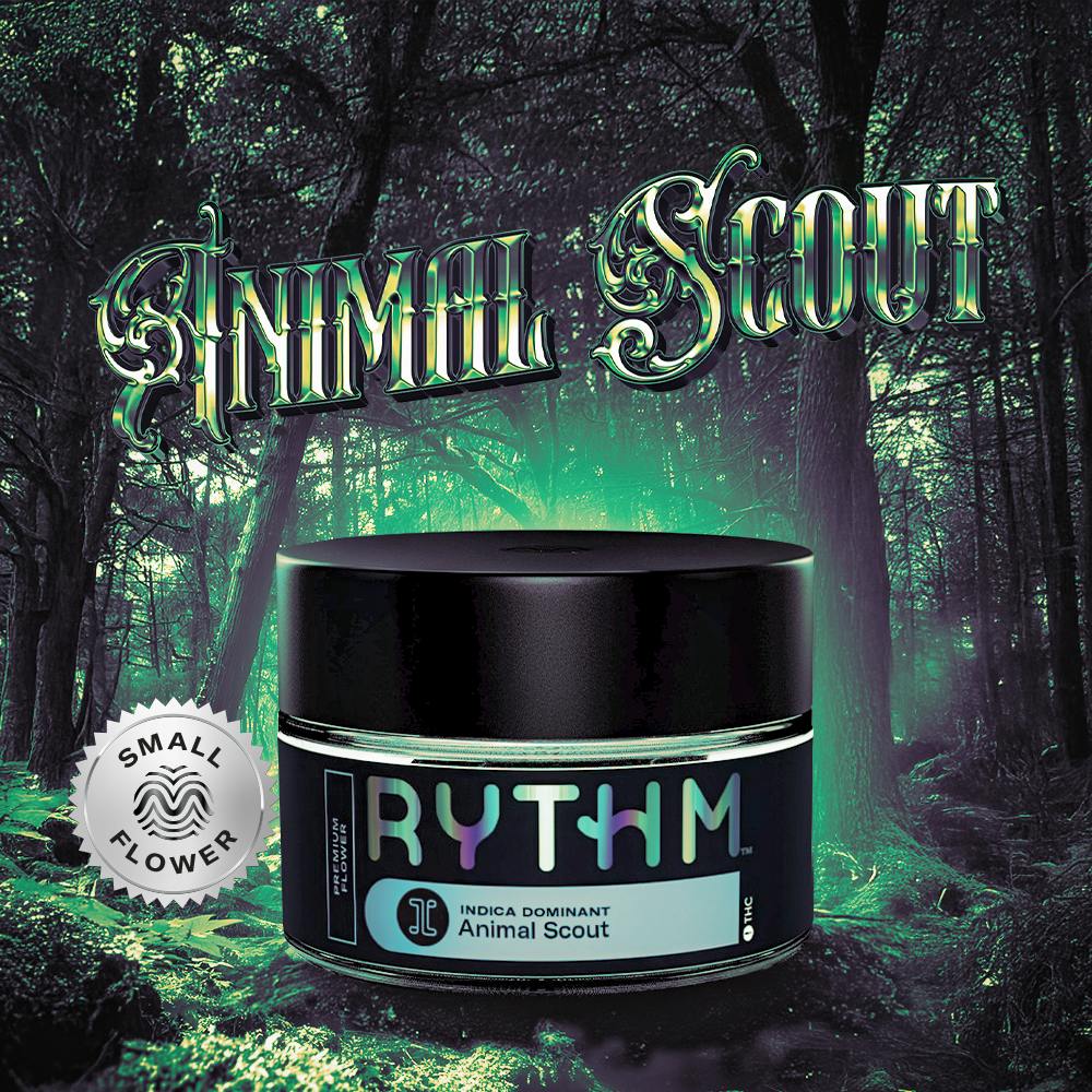 Animal Scout l Indoor l 7g | Popcorn
