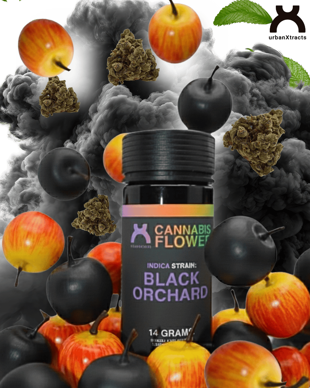Black Orchard