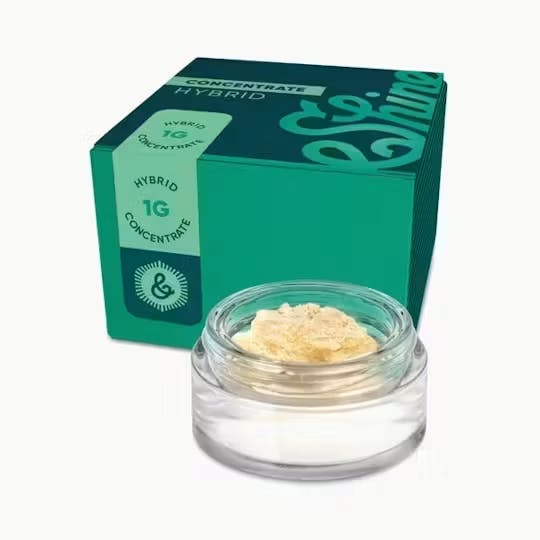 Shine | Cured Concentrate Afternoon Delight 4 Hybrid 1g